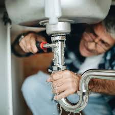 Best Commercial Plumbing Services  in Warren, IL